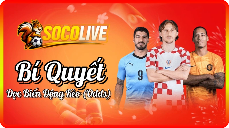 socolive - Bí Quyết Đọc Biến Động Kèo (Odds) Để Tăng Tỉ Lệ Thắng